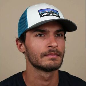 Patagonia Blue and Gray Trucker Hat